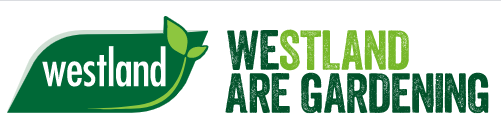 westland Current Logo