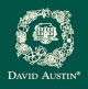 David Austin logo