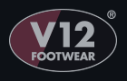 V12 Current Logo